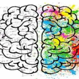 Certificate in Mental Skills Development