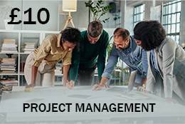 project management