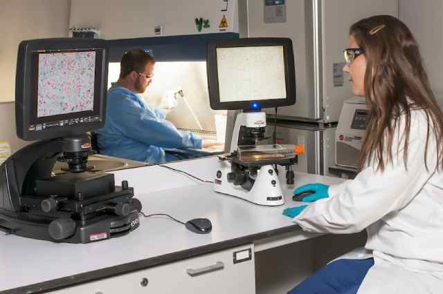 Certificate in Skin Analysis