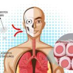 Certificate in Asbestos Awareness