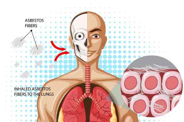 Certificate in Asbestos Awareness